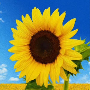 Meet your Posher, Roxie